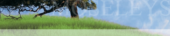 Moseleys Solicitors